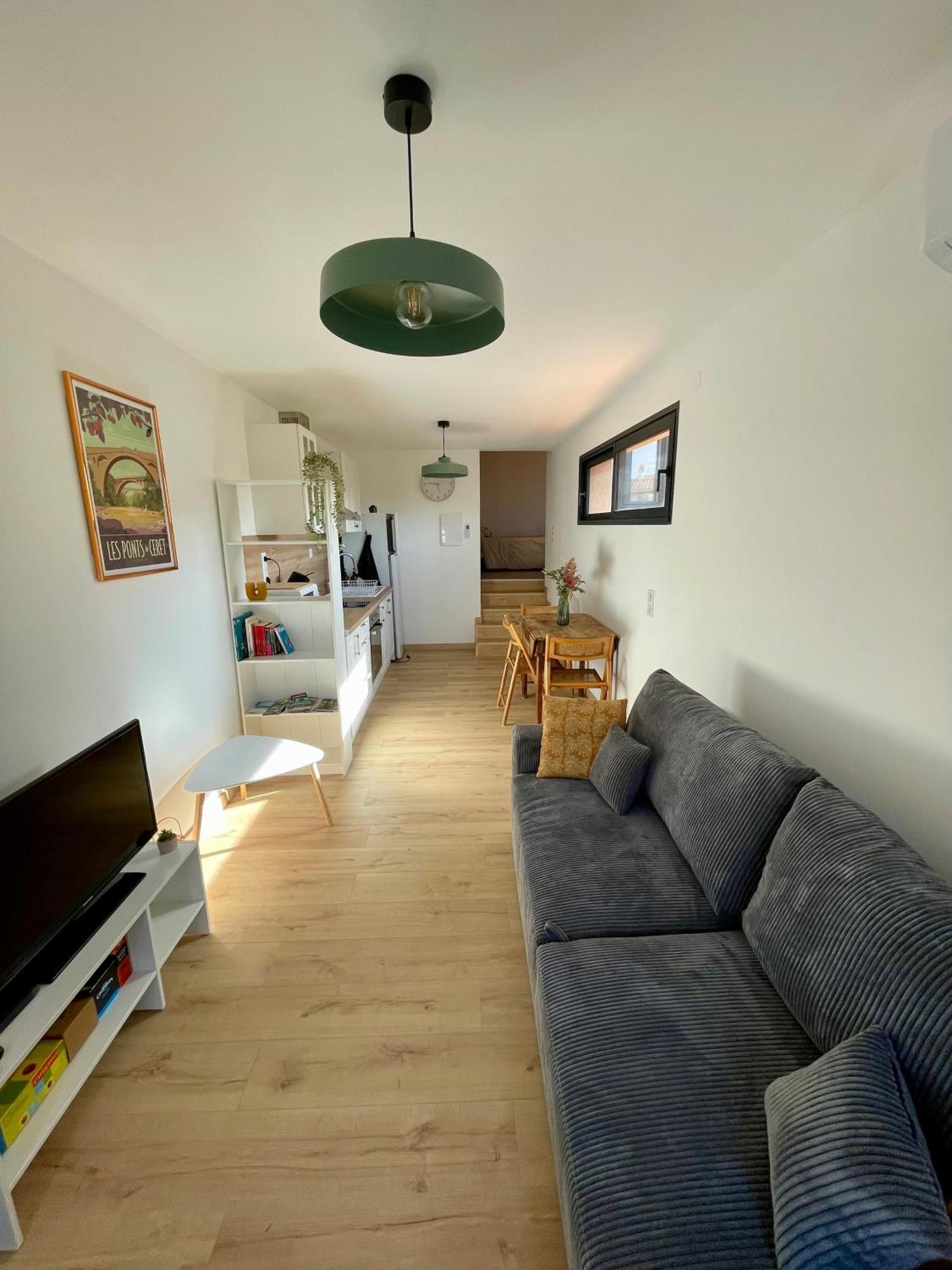 Bel Appartement A Céret Zewnętrze zdjęcie