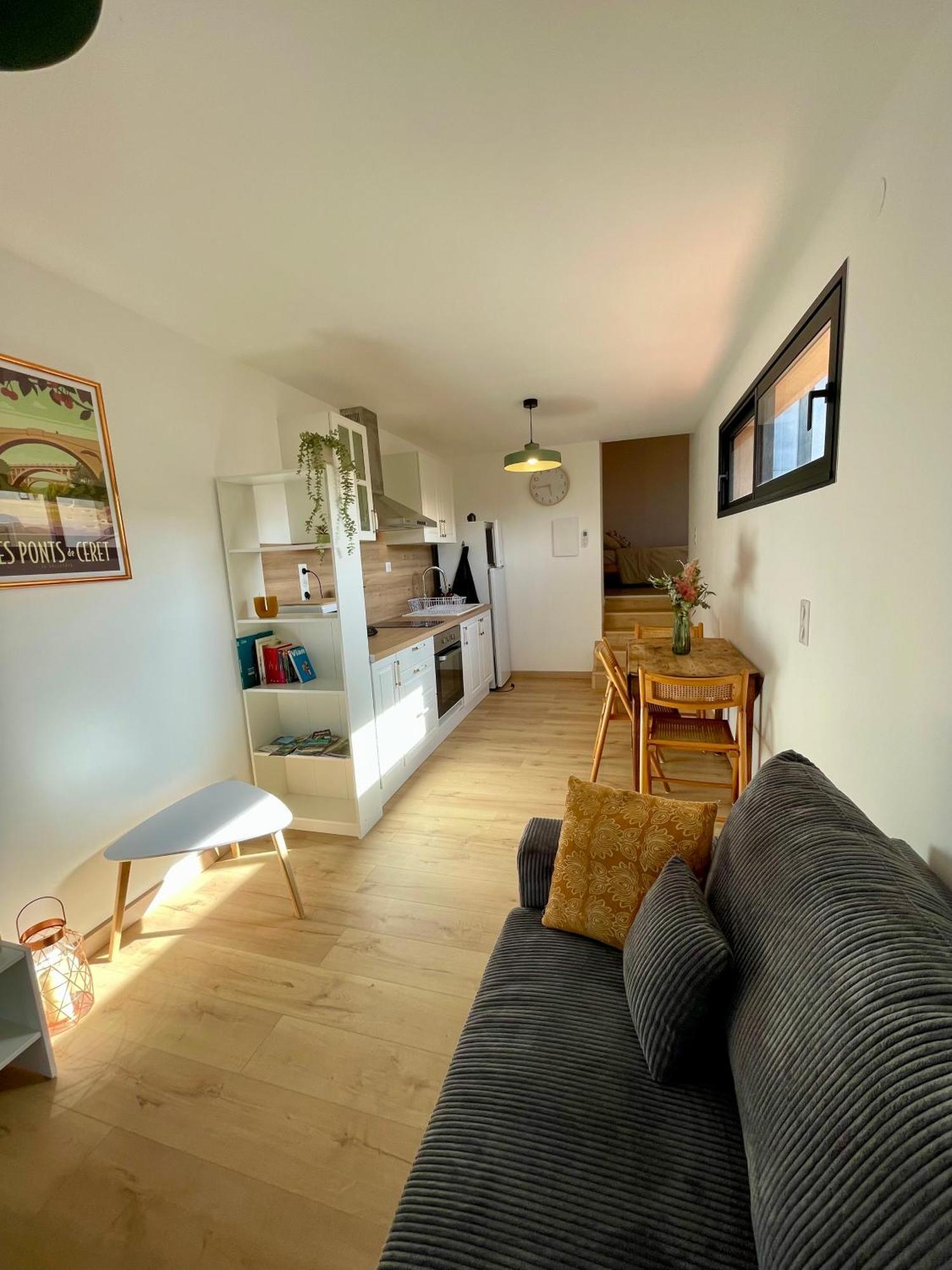 Bel Appartement A Céret Zewnętrze zdjęcie